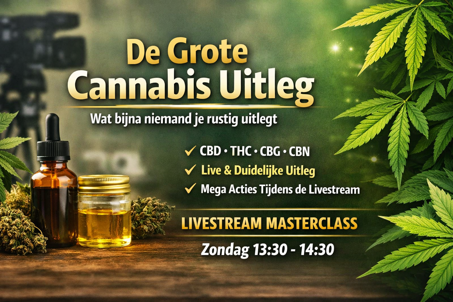 Afbeelding van De Grote Uitleg Wat bijna niemand je rustig uitlegt